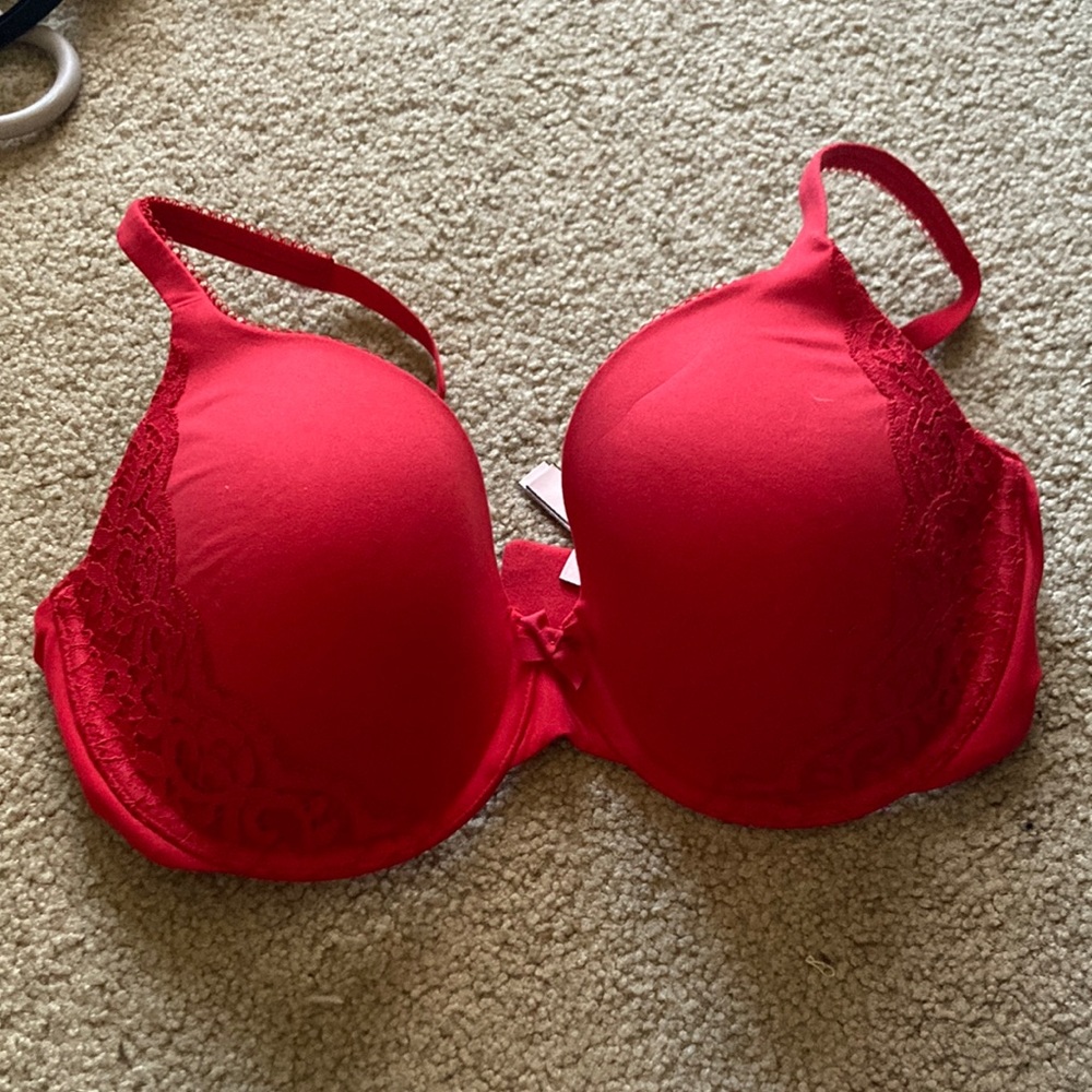 EUC Body by Victoria bra